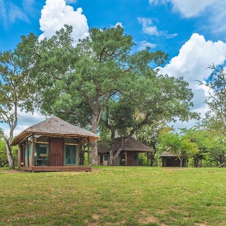 Shindzela Tented Camp Timbavati Game Reserve Ngoại thất bức ảnh