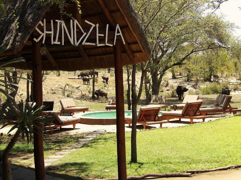 Shindzela Tented Camp Timbavati Game Reserve Ngoại thất bức ảnh