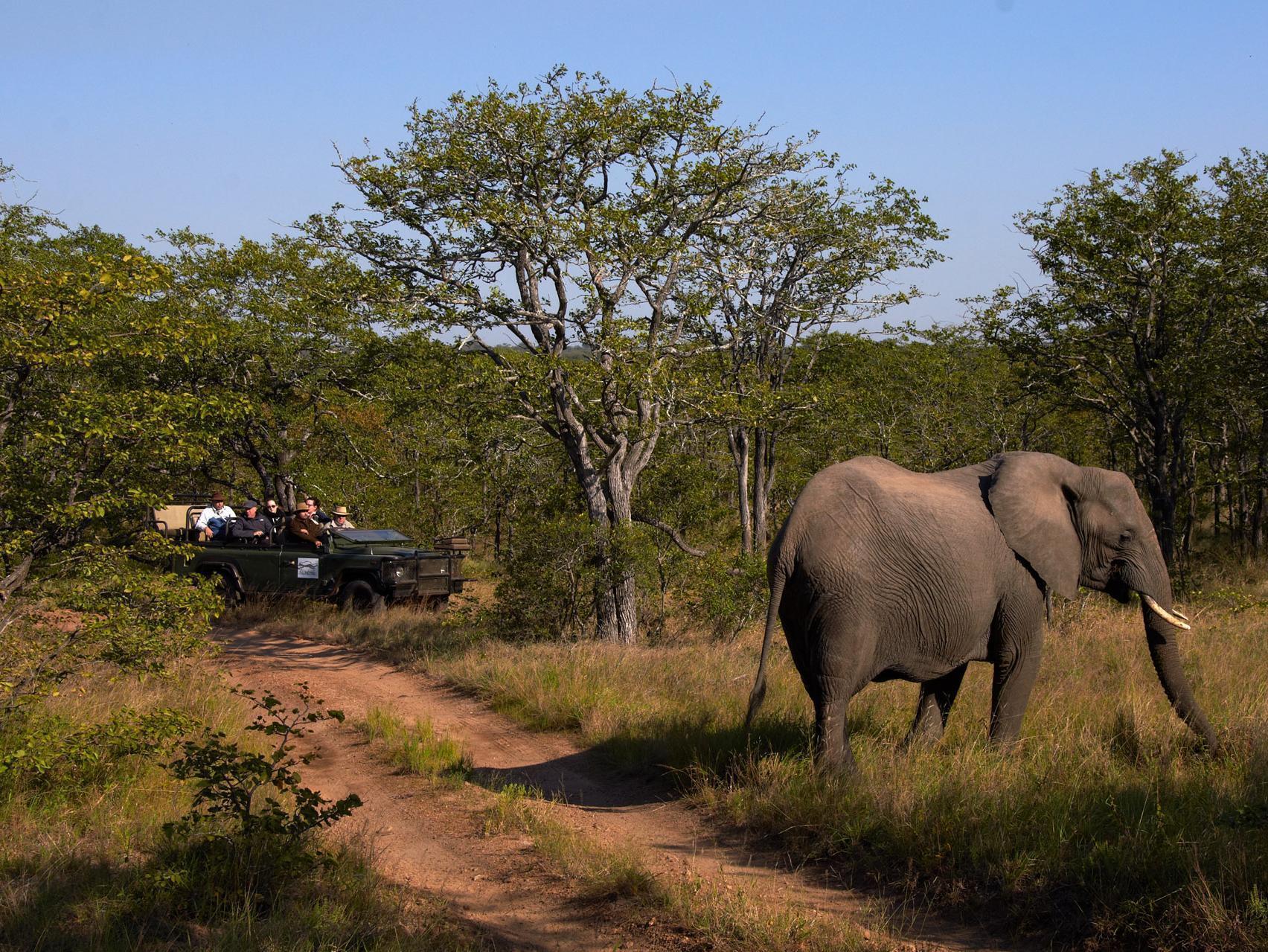 Shindzela Tented Camp Timbavati Game Reserve Ngoại thất bức ảnh