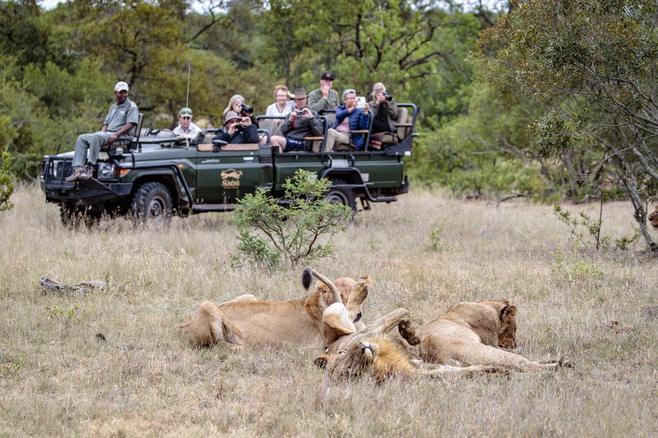 Shindzela Tented Camp Timbavati Game Reserve Ngoại thất bức ảnh