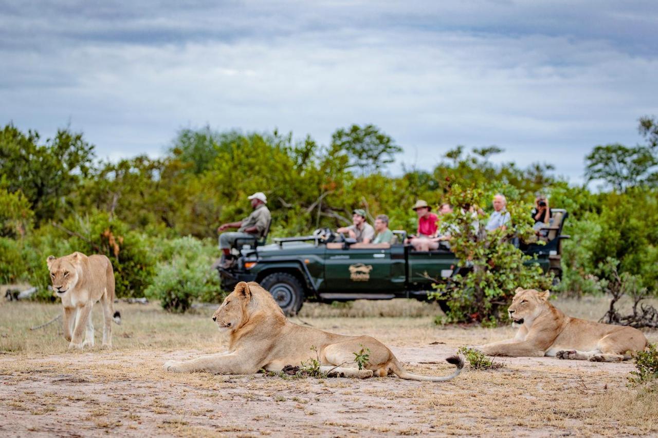 Shindzela Tented Camp Timbavati Game Reserve Ngoại thất bức ảnh