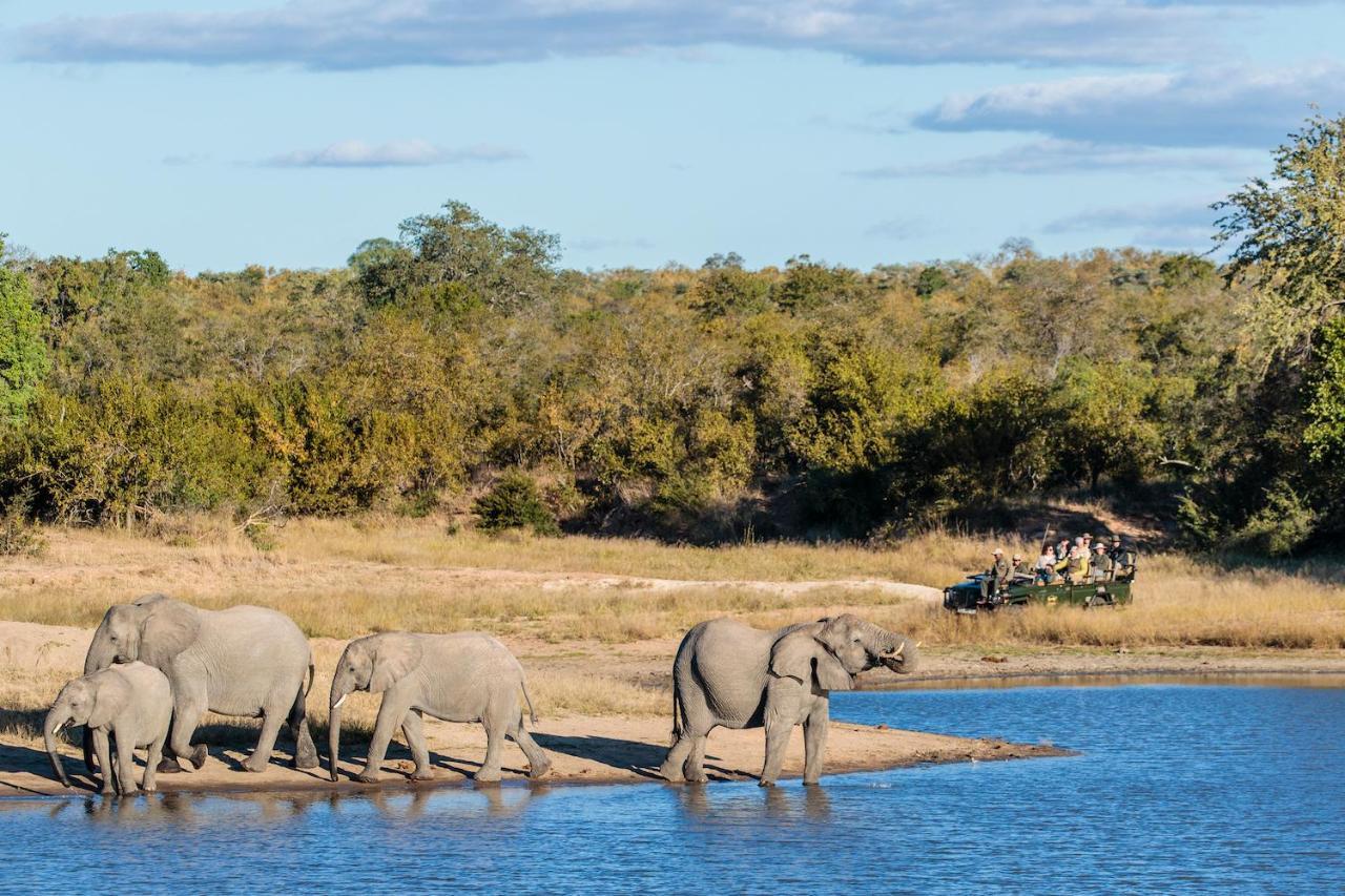 Shindzela Tented Camp Timbavati Game Reserve Ngoại thất bức ảnh