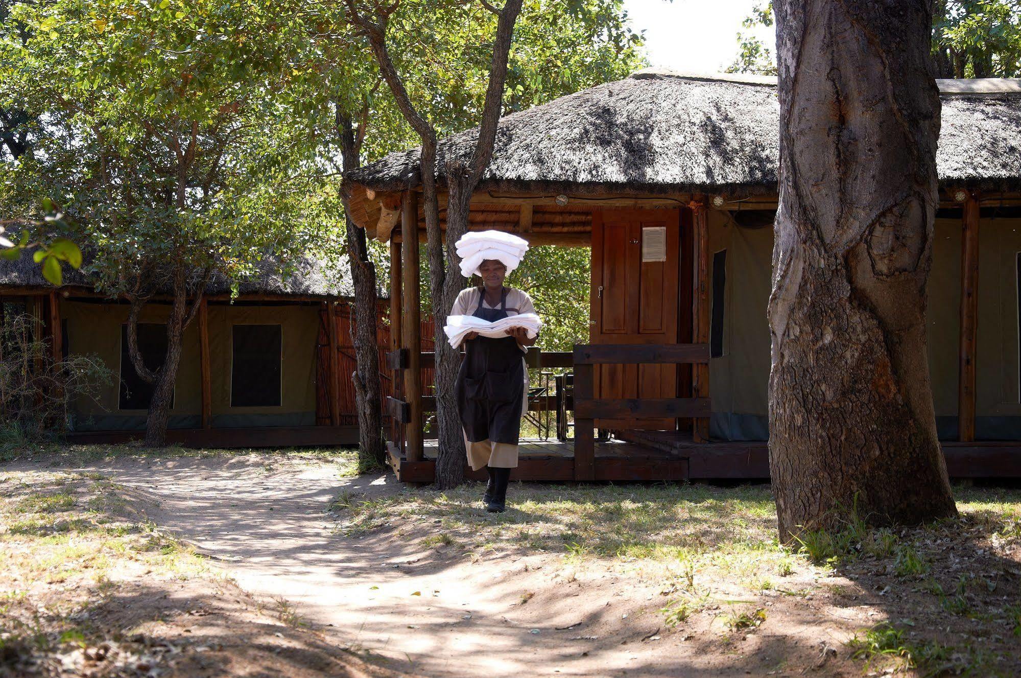 Shindzela Tented Camp Timbavati Game Reserve Ngoại thất bức ảnh