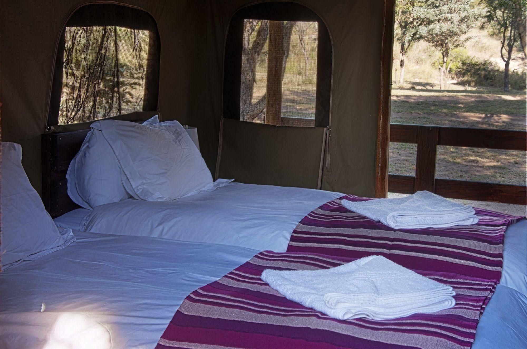 Shindzela Tented Camp Timbavati Game Reserve Ngoại thất bức ảnh
