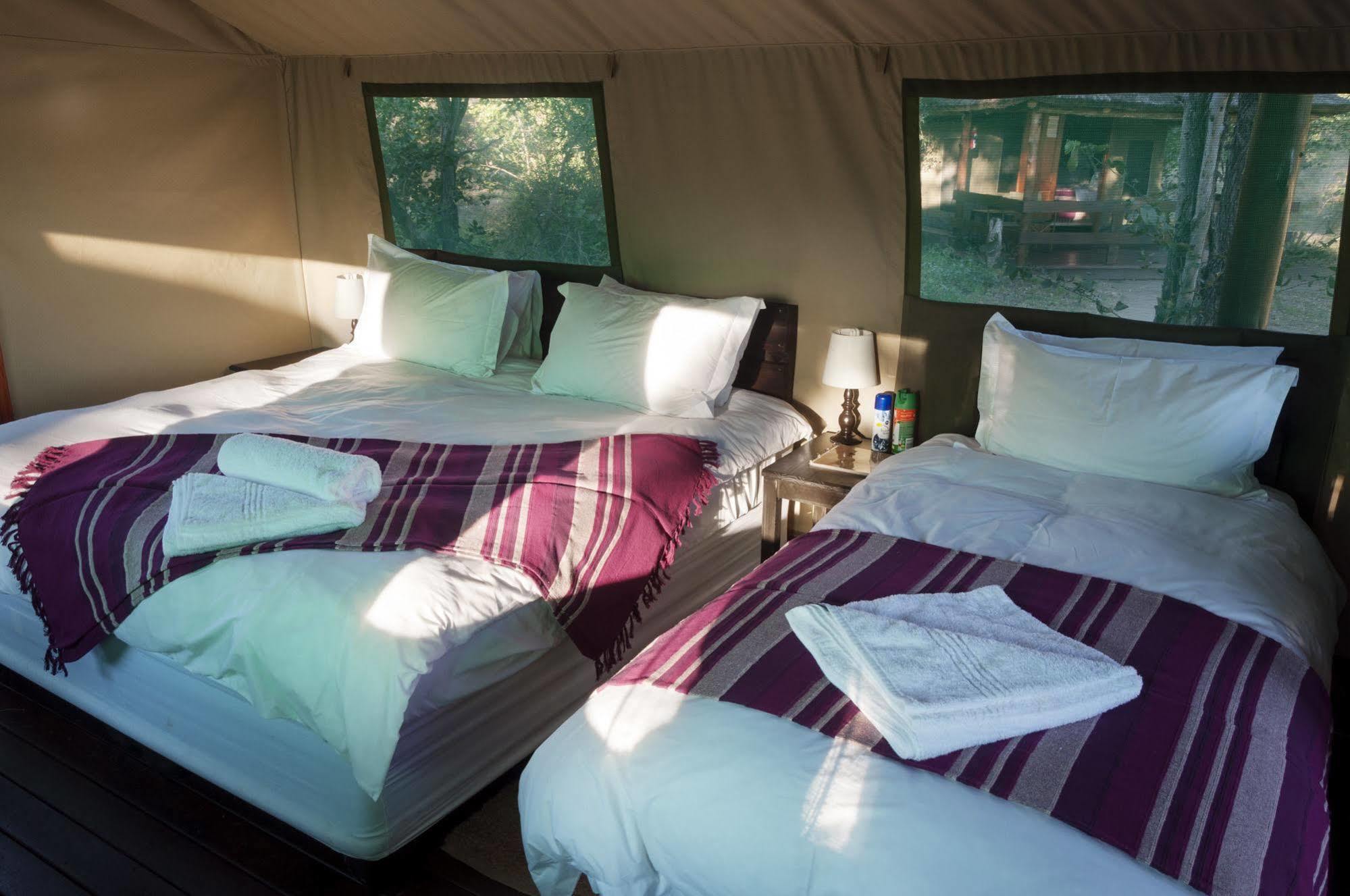 Shindzela Tented Camp Timbavati Game Reserve Ngoại thất bức ảnh