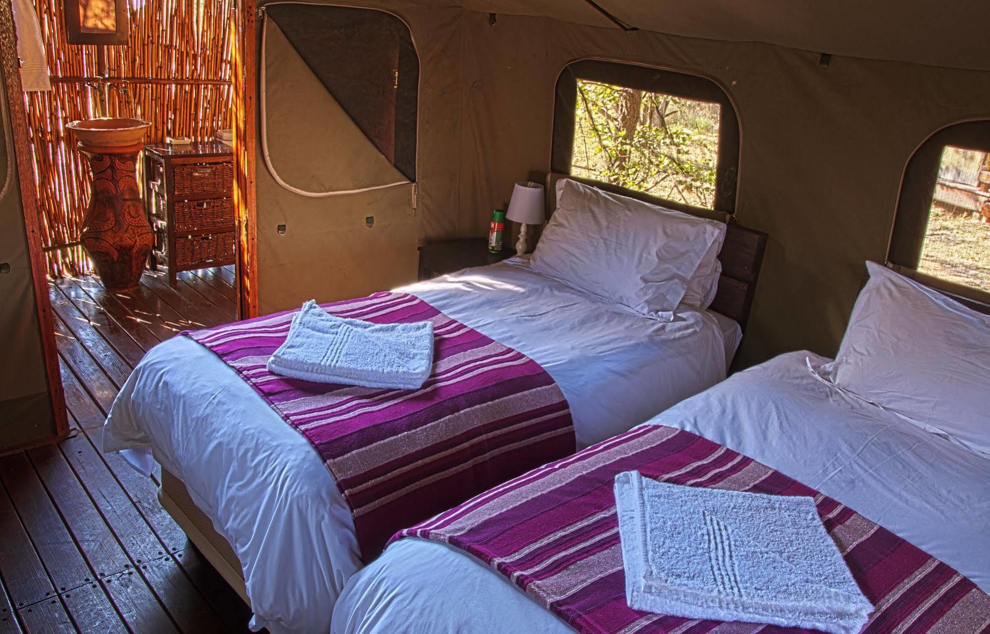 Shindzela Tented Camp Timbavati Game Reserve Ngoại thất bức ảnh