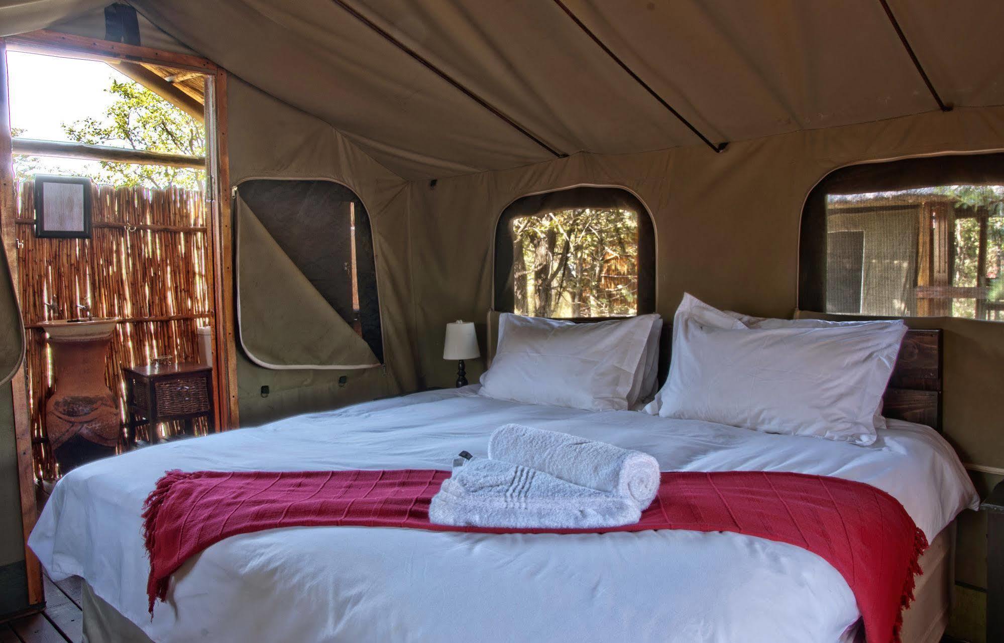 Shindzela Tented Camp Timbavati Game Reserve Ngoại thất bức ảnh