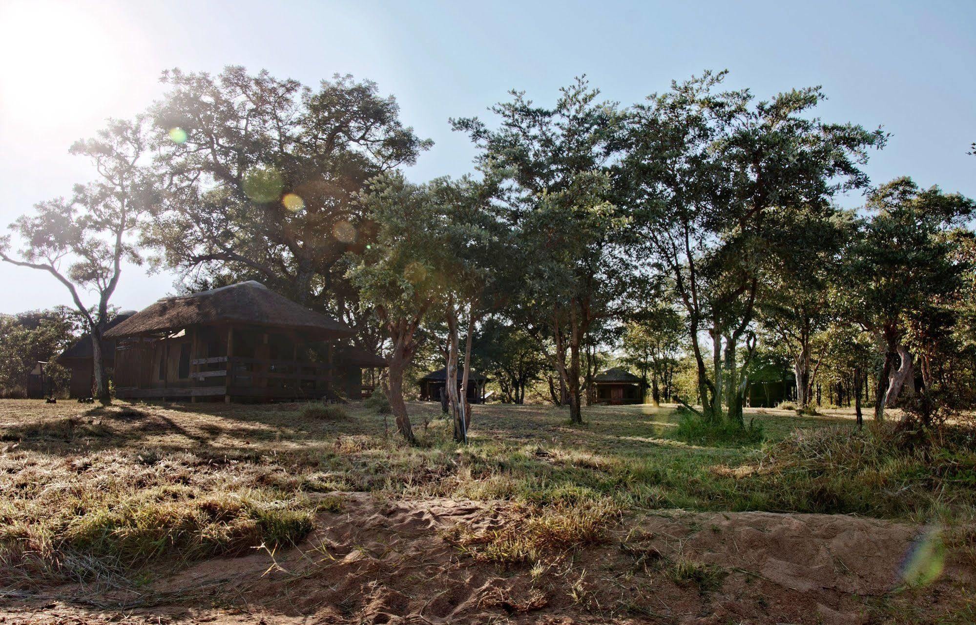 Shindzela Tented Camp Timbavati Game Reserve Ngoại thất bức ảnh