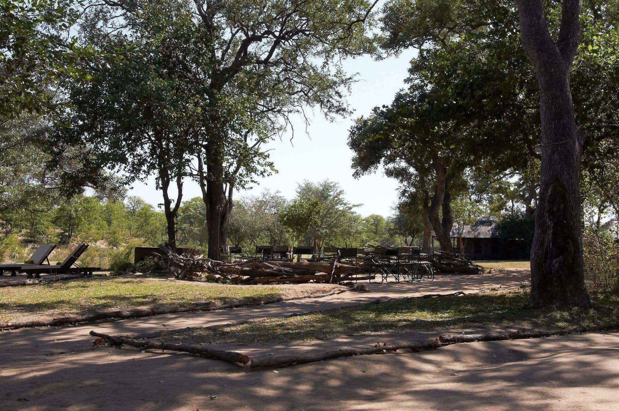 Shindzela Tented Camp Timbavati Game Reserve Ngoại thất bức ảnh