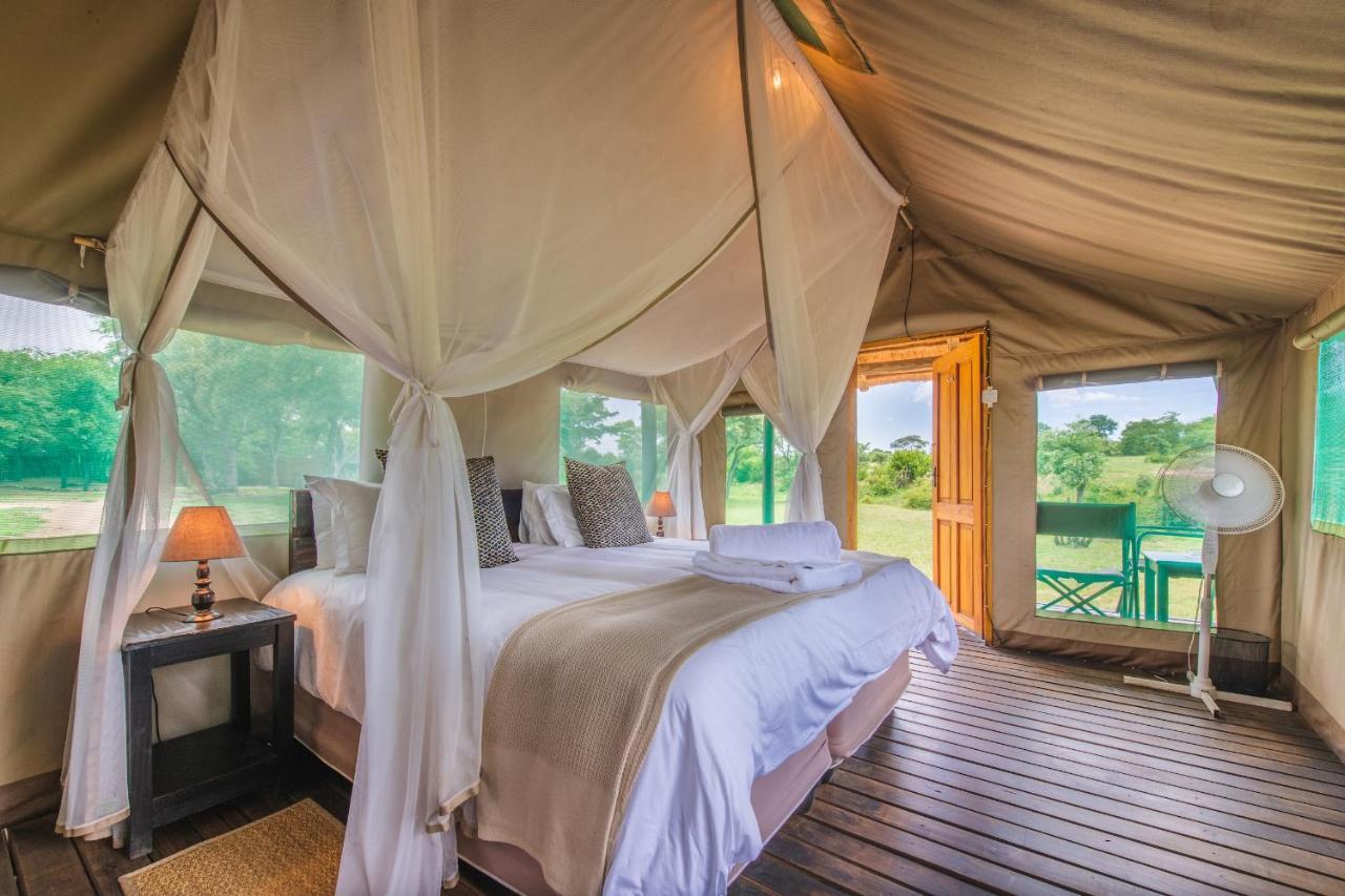 Shindzela Tented Camp Timbavati Game Reserve Ngoại thất bức ảnh
