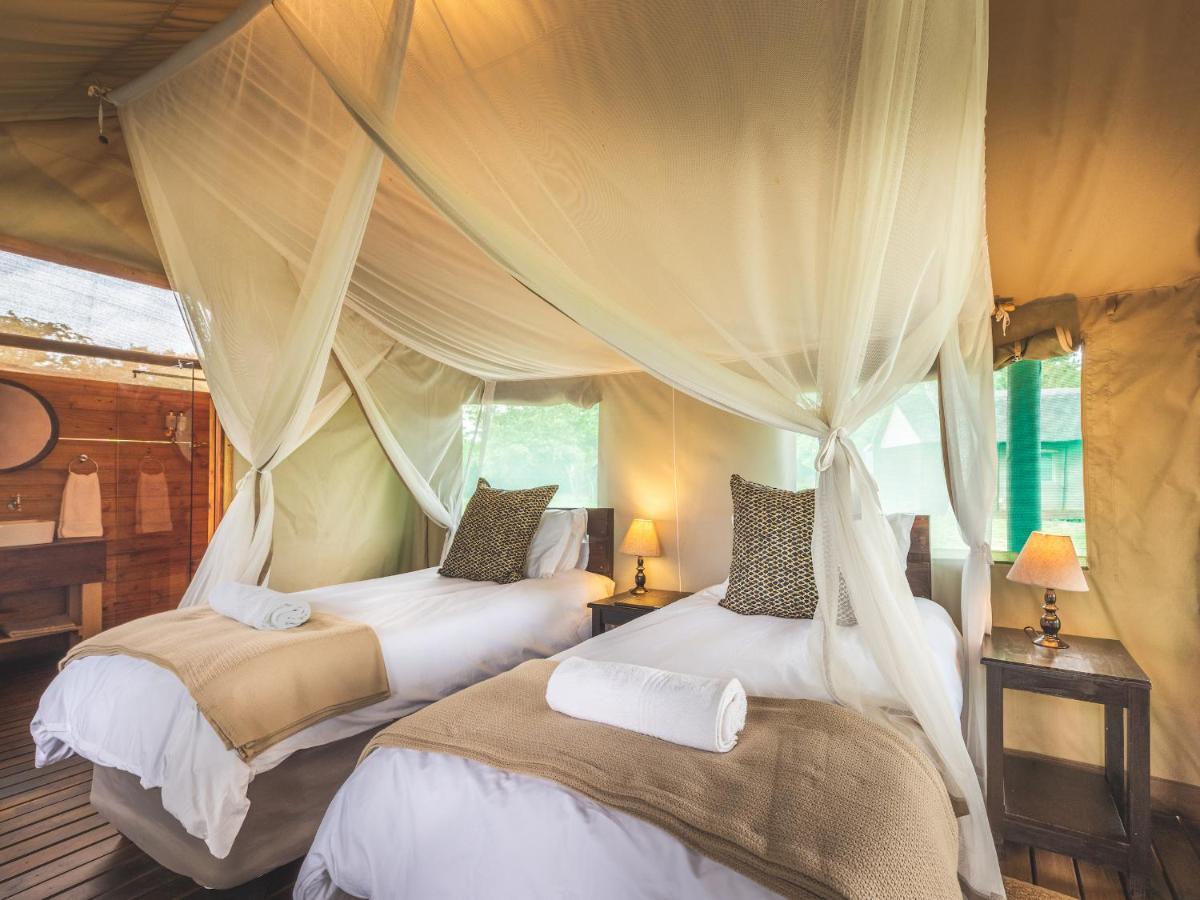 Shindzela Tented Camp Timbavati Game Reserve Ngoại thất bức ảnh