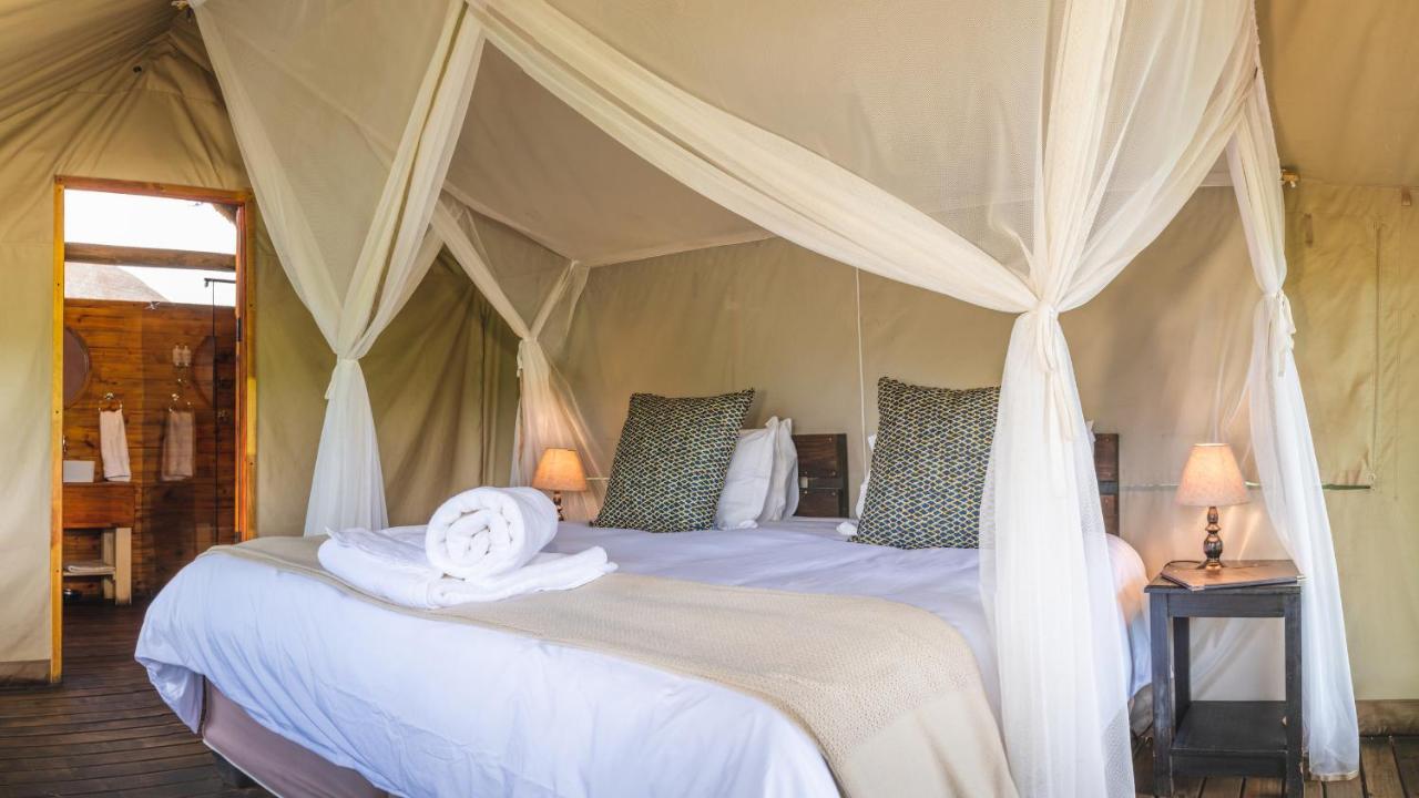 Shindzela Tented Camp Timbavati Game Reserve Ngoại thất bức ảnh