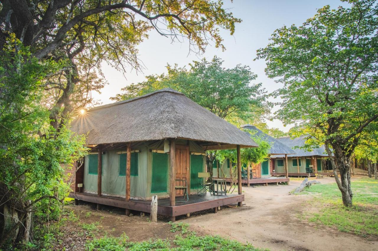 Shindzela Tented Camp Timbavati Game Reserve Ngoại thất bức ảnh