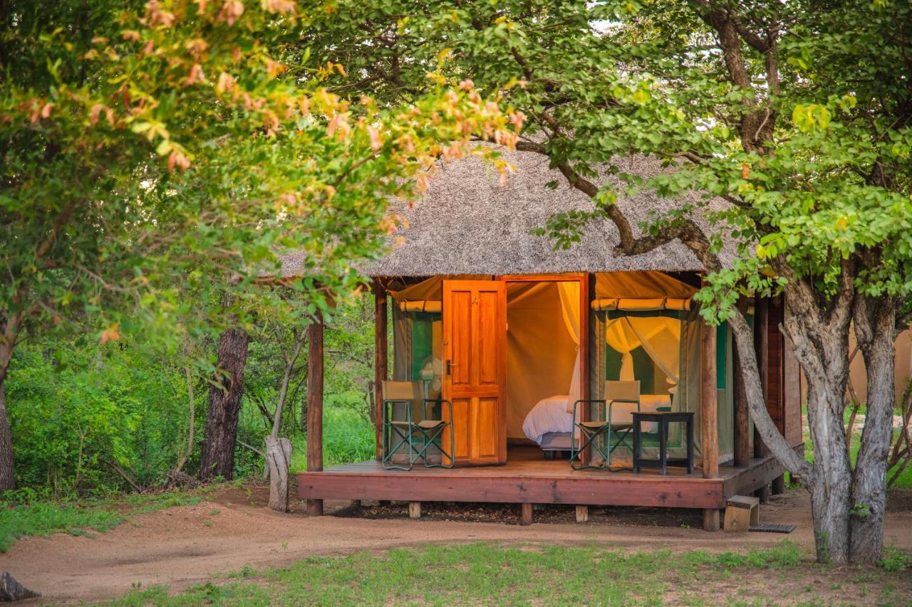 Shindzela Tented Camp Timbavati Game Reserve Ngoại thất bức ảnh