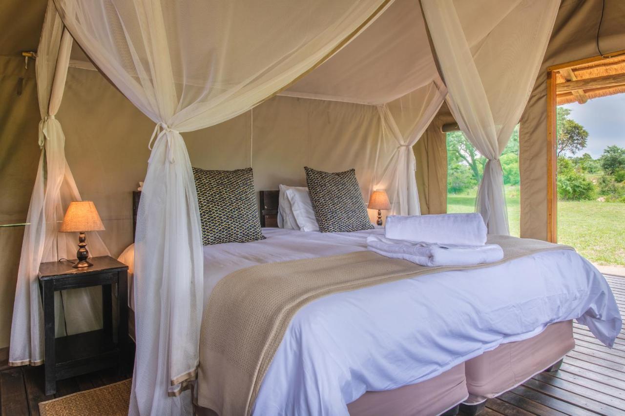 Shindzela Tented Camp Timbavati Game Reserve Ngoại thất bức ảnh
