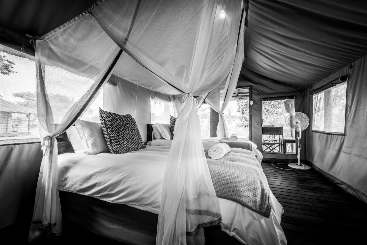 Shindzela Tented Camp Timbavati Game Reserve Ngoại thất bức ảnh