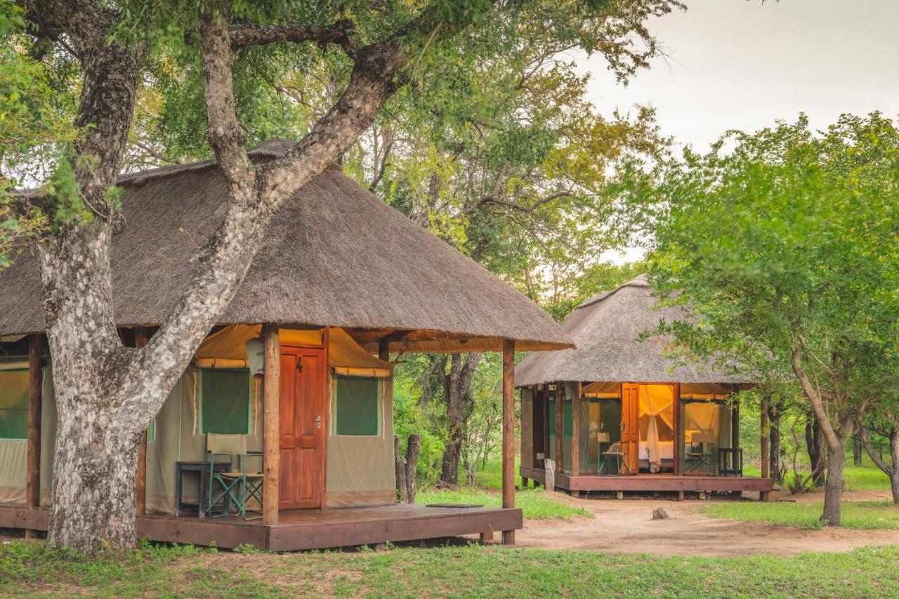 Shindzela Tented Camp Timbavati Game Reserve Ngoại thất bức ảnh