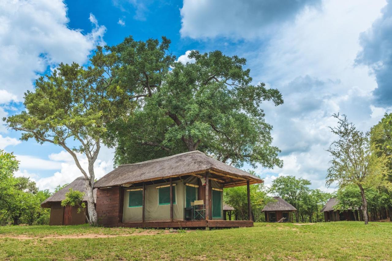 Shindzela Tented Camp Timbavati Game Reserve Ngoại thất bức ảnh